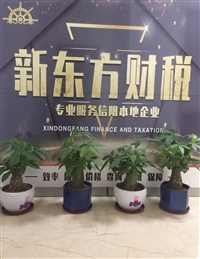 信阳新东方代理记账公司的图标